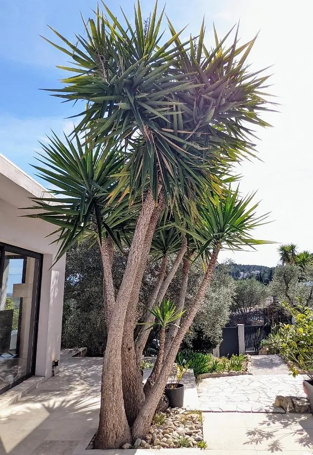 -La Villa Madile- Piscine Chauffee Bandol